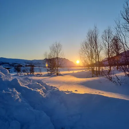 Koselig Leilighet Naer Sentrum Tromsø Esterno foto