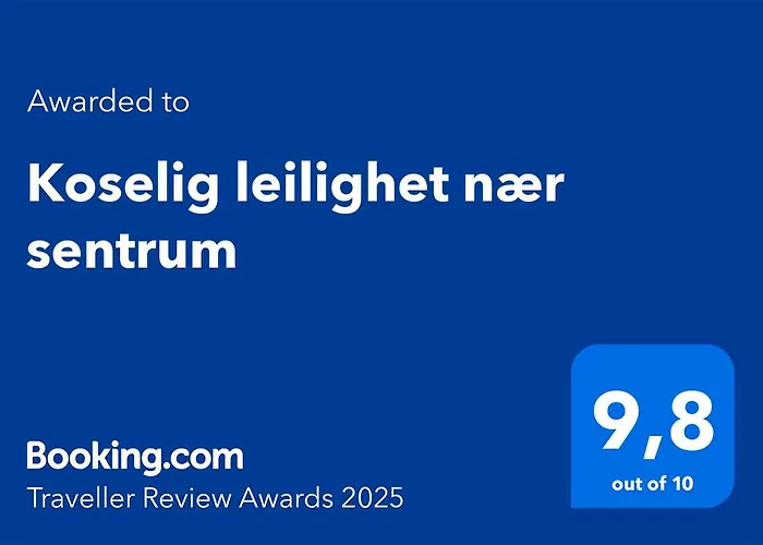 Koselig Leilighet Naer Sentrum